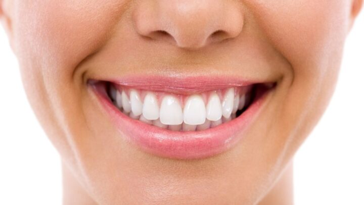 El Nombre De Los Dientes: Aprende A Identificarlos El Nombre De Los Dientes: Aprende A Identificarlos