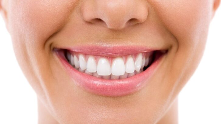 El nombre de los dientes: aprende a identificarlos