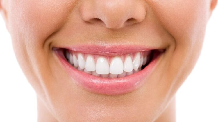 El nombre de los dientes: aprende a identificarlos